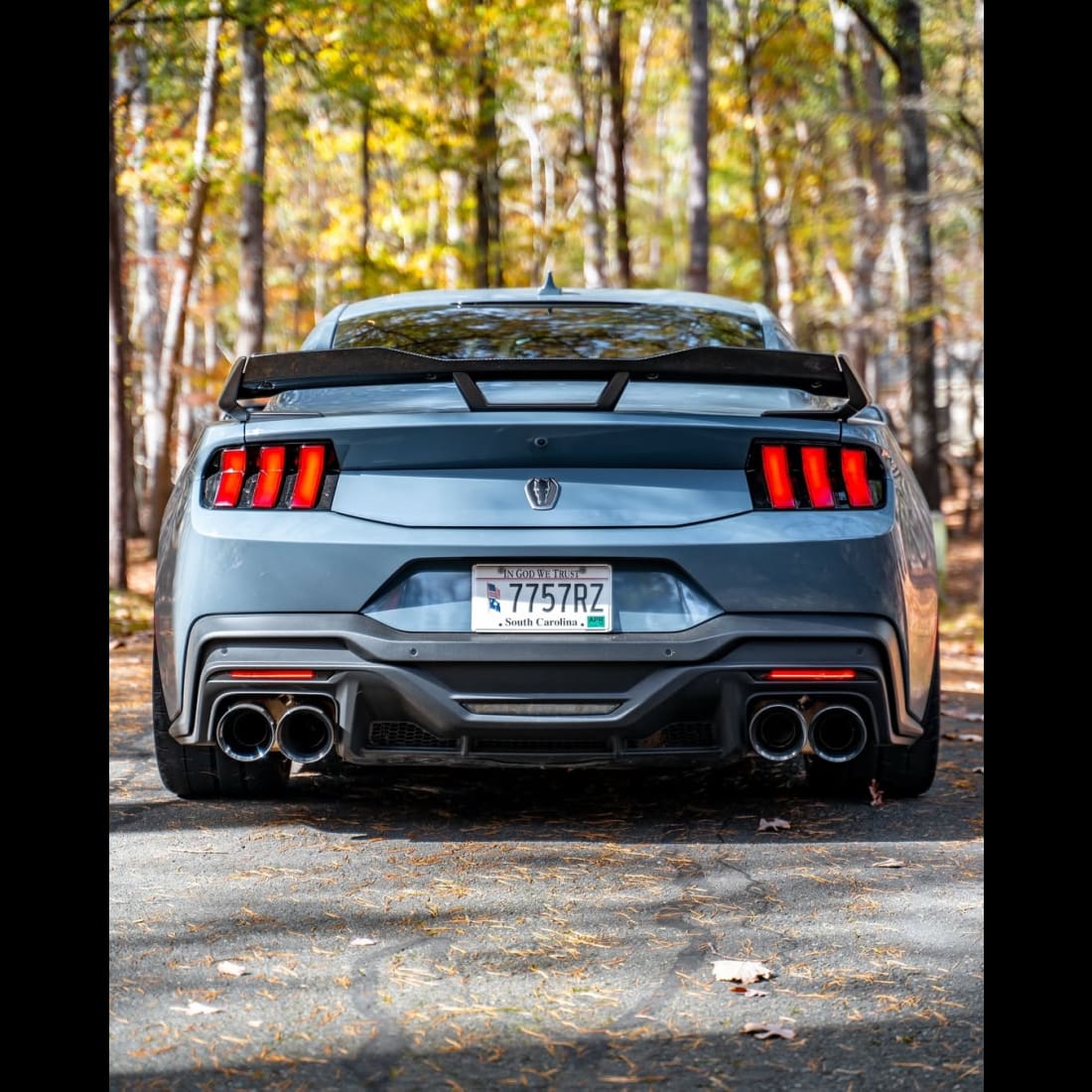 2024 + Mustang S650 FORM Sequential Tail Lights